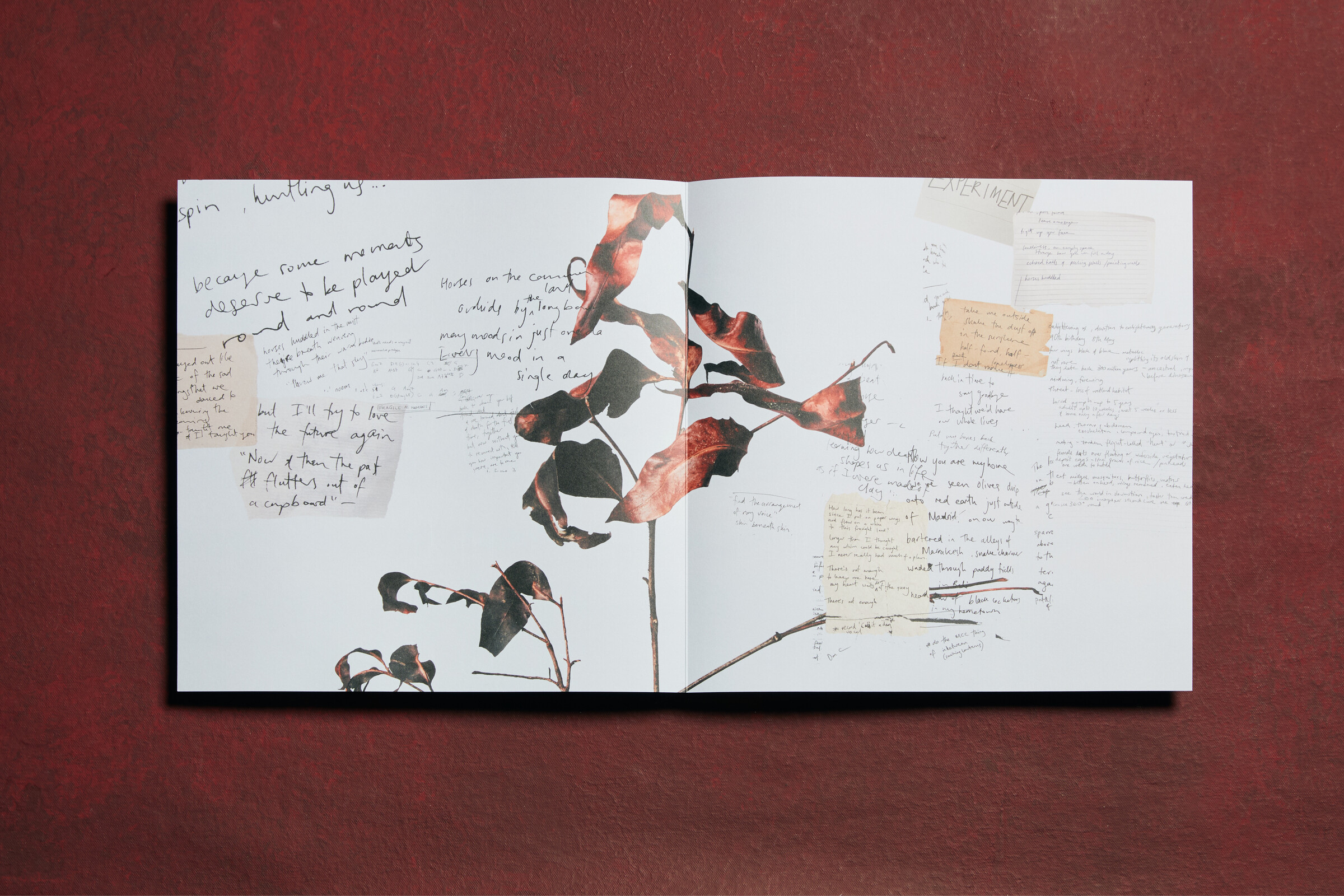 Headjam portfolio emily barker 4