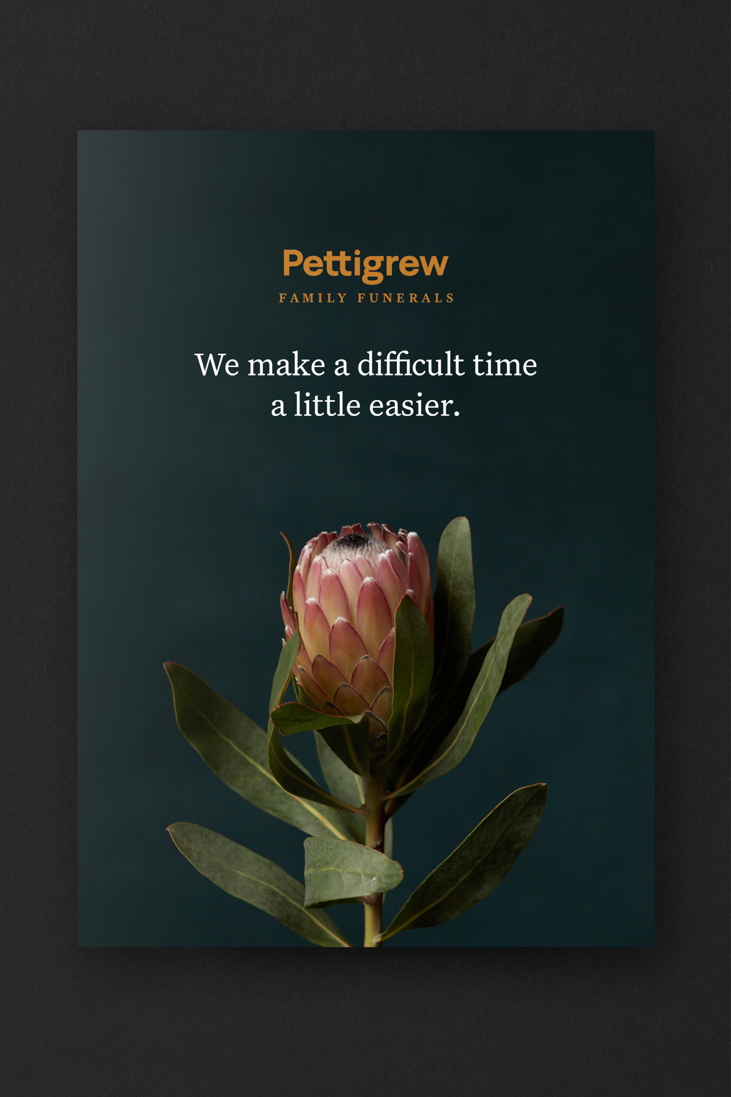 Headjam Portfolio Pettigrew 05